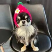 みーた