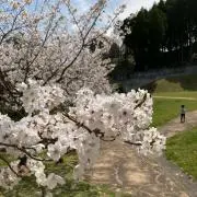 Lalabelの画像