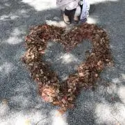 美保