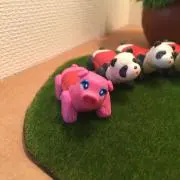 もんもこの画像