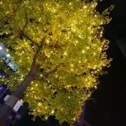 えりりんの画像