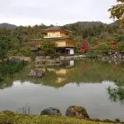 トキ吉宗の画像