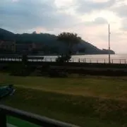 ホリ