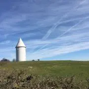 Osakiniの画像