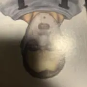 7!?