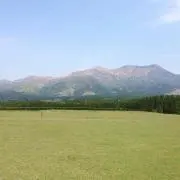 ブッシー