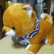 まめお