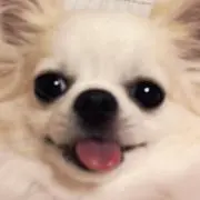 KJの画像