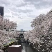 いとぽん