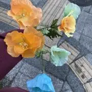 りんか（プロフ必読）の画像
