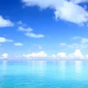 ジェーの画像