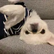 【断捨離中】