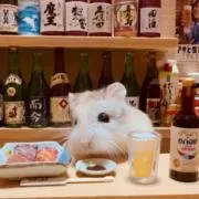じんぱちの画像