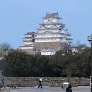 タイガーウッズの画像