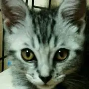 yuka*