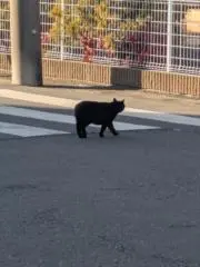 ゆうの画像