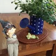 myumyuの画像