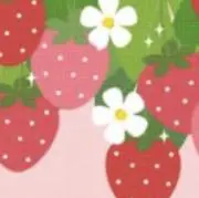 ももいちご+Plus1　即日〜翌日発送♡の画像