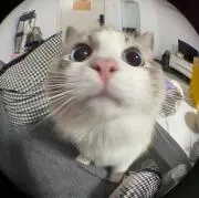 @の画像
