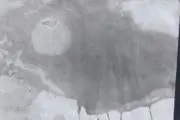 y.wの画像