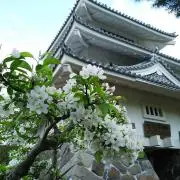 かずさの画像