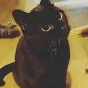 みんちぇる♥プロフ見てね♥の画像