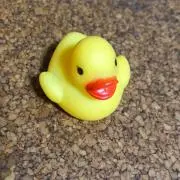 NOBの画像