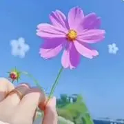 静
