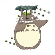 キキの画像