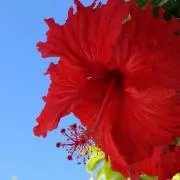 mammy☆