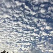みーみーみーの画像