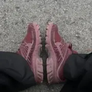 ささの画像