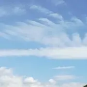 ねこちの画像