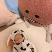 KinoKoの画像