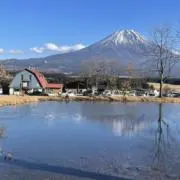 きたさんの画像