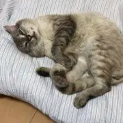 ナイナイ尽くしの画像