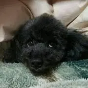 あっちゃん