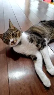 あいき (プロフ確認お願いします)の画像