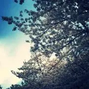 Souの画像