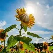 ⭐︎⭐︎Y s ⭐︎⭐︎断捨離中の画像
