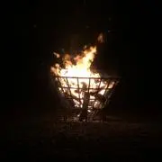 ひのこの画像