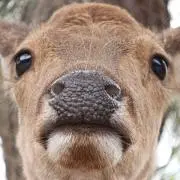 ユウタの画像