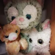ねこの画像