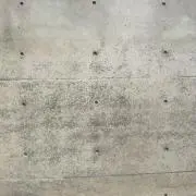 さめのはの画像
