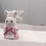 りの画像