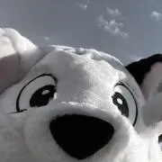 Mの画像