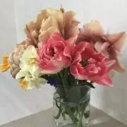 わくわくtomo❁⃘の画像
