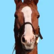 田中ですの画像