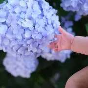 てんてん