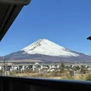 いわいわの画像